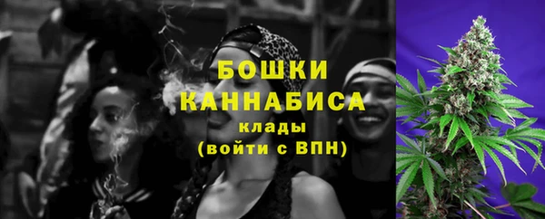 трава Аркадак