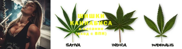 трава Аркадак