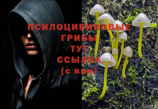 COCAINE Армянск
