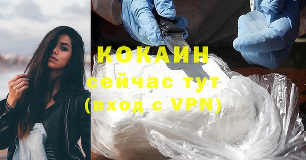 трава Аркадак